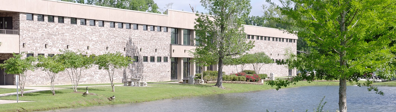 information technology school information technology school