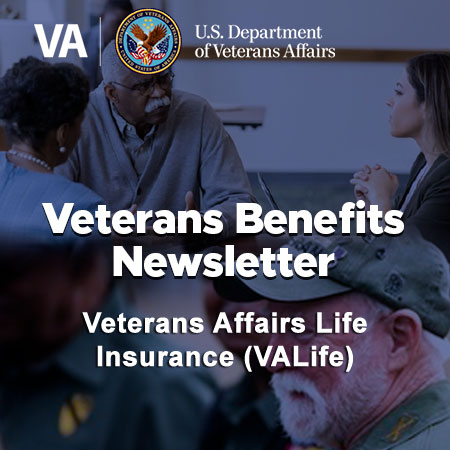 Veterans Affairs Life Insurance (VALife)