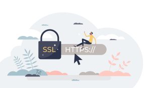 SSL or secure sockets layer as safe network data links tiny person concept, transparent background.Strong internet safety with HTTPS certificate privacy sign illustration.