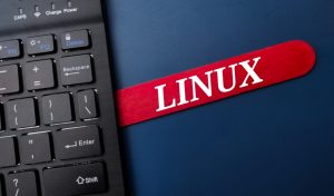 Black keyboard and ice cream stick with the word LINUX on a blue background.